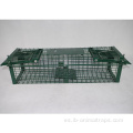 Whit Bird Cage Animal Vive Trap A Birdcagetrap